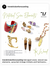 Trendvision, Jewellery trends, shell jewellery , fashion jewellery 